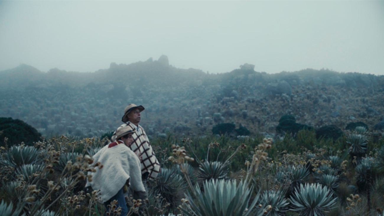 entre-la-niebla-imagen